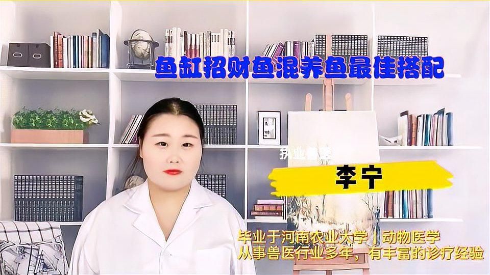 招財魚混養有哪些注意事項，招財魚混養時需要注意以下幾點：要確保招財魚的水質適宜 招財魚混養有哪些注意事項，招財魚混養時需要注意以下幾點：要確保招財魚的水質適宜 龍魚百科
