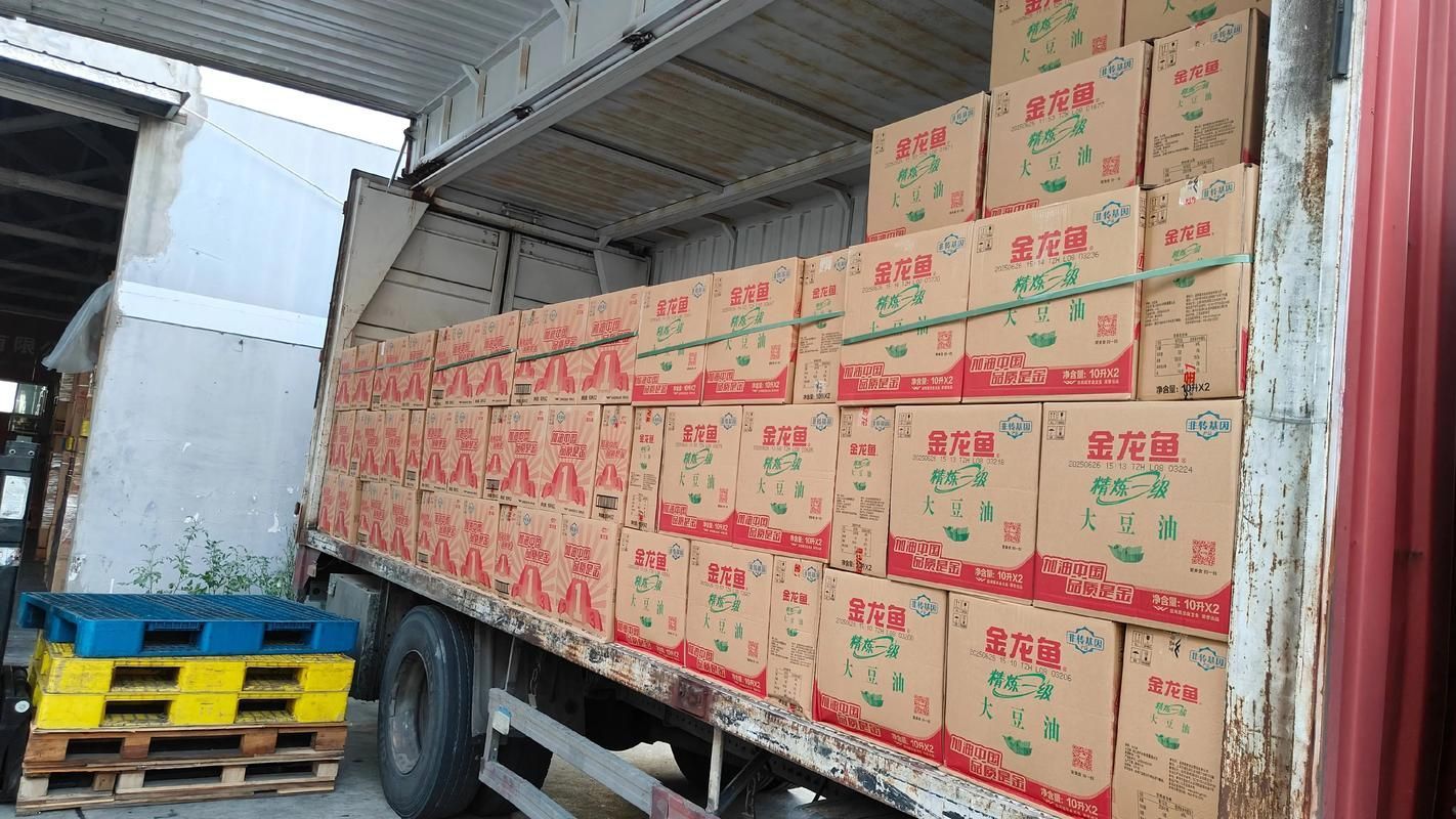 金龍魚批發有哪些注意事項？，金龍魚批發注意事項 金龍魚批發有哪些注意事項？，金龍魚批發注意事項 龍魚百科 第8張