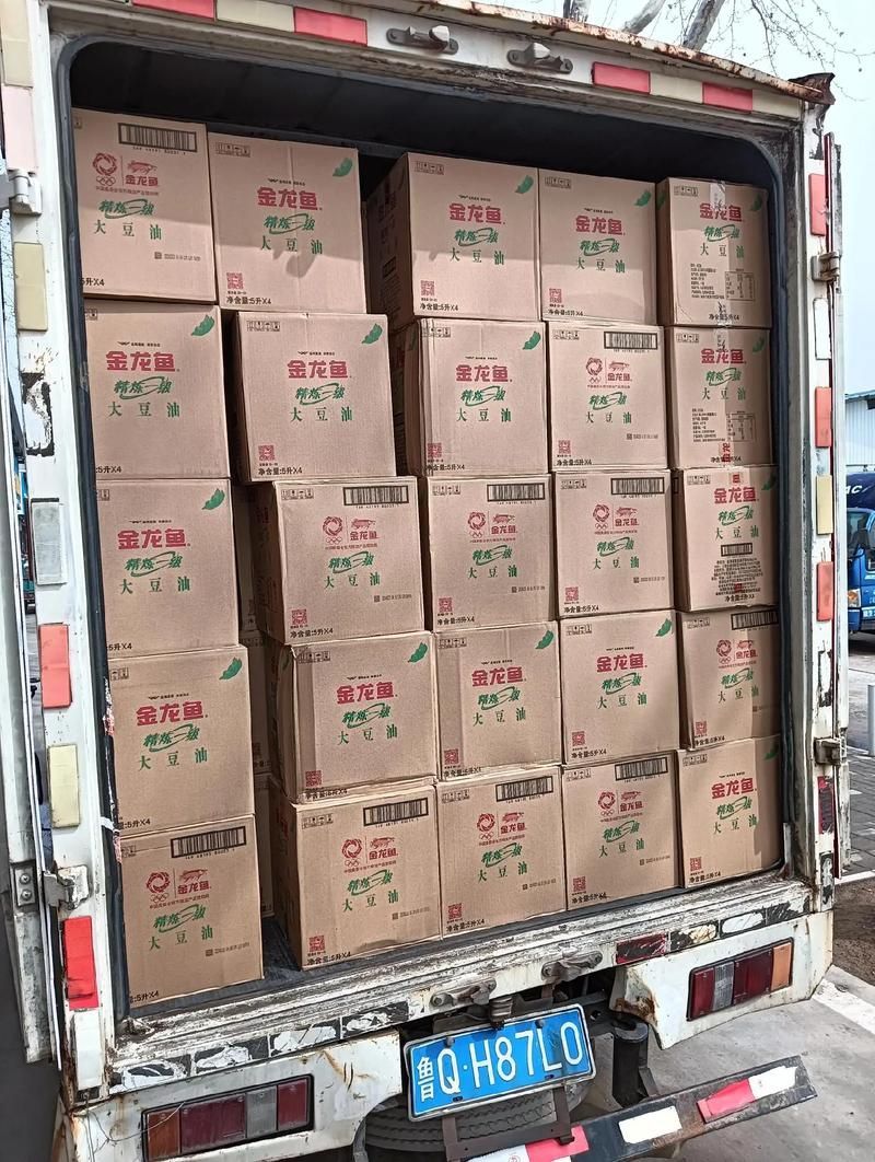 金龍魚批發有哪些注意事項？，金龍魚批發注意事項 金龍魚批發有哪些注意事項？，金龍魚批發注意事項 龍魚百科 第10張