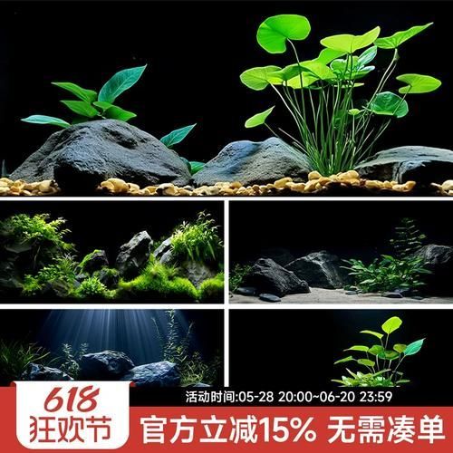 龍魚缸裝飾多久更換一次，龍魚缸裝飾更換頻率取決于多種因素、使用頻率以及水質狀況