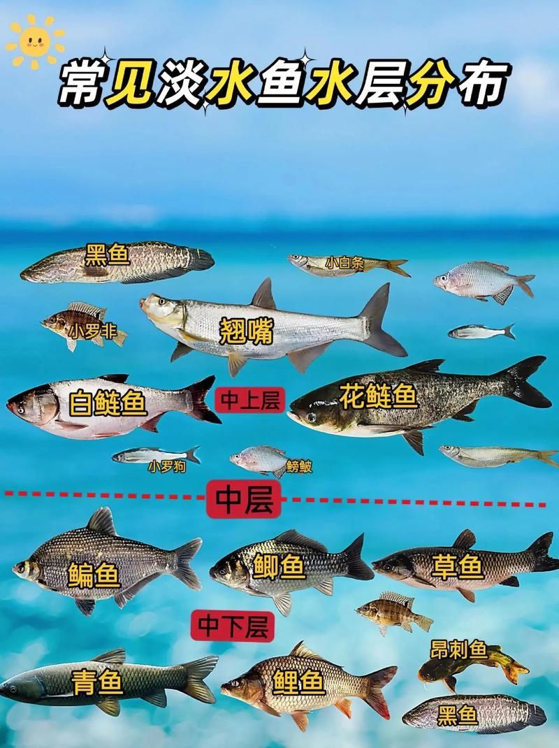 如何判斷魚類是否處于混養狀態
