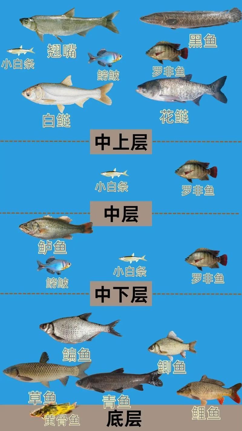 如何判斷魚類是否處于混養狀態