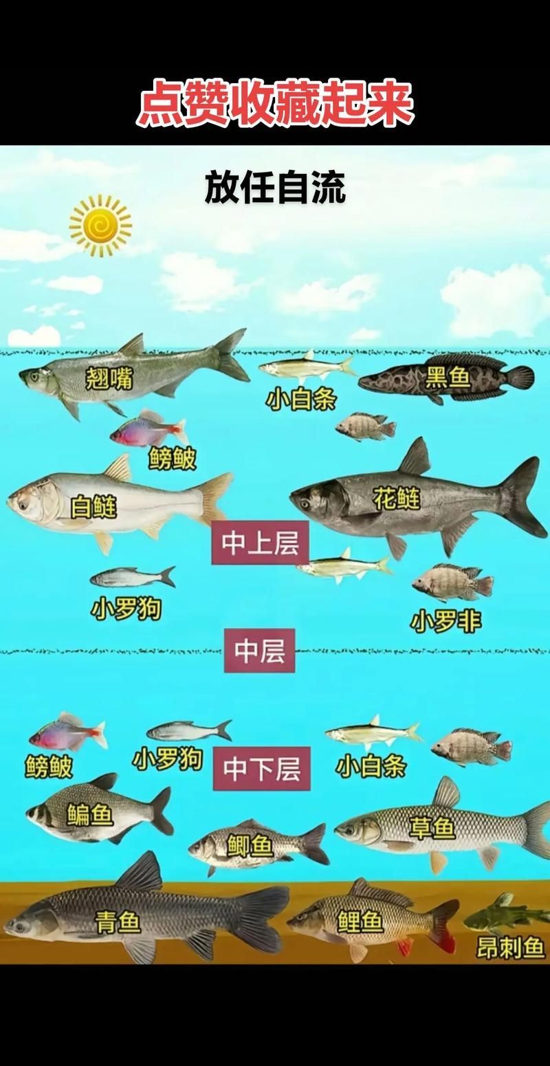 如何判斷魚類是否處于混養狀態
