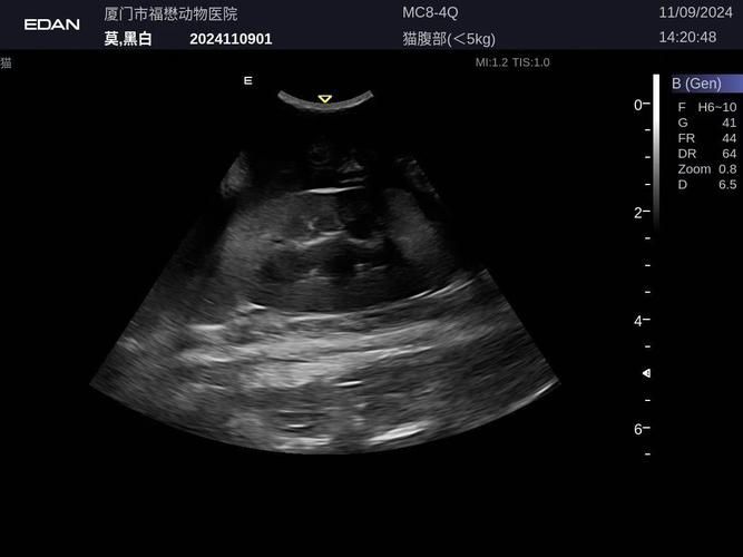 如何判斷魚腹水是否好轉(zhuǎn)，如何判斷腹水好轉(zhuǎn) 如何判斷魚腹水是否好轉(zhuǎn)，如何判斷腹水好轉(zhuǎn) 龍魚百科 第2張