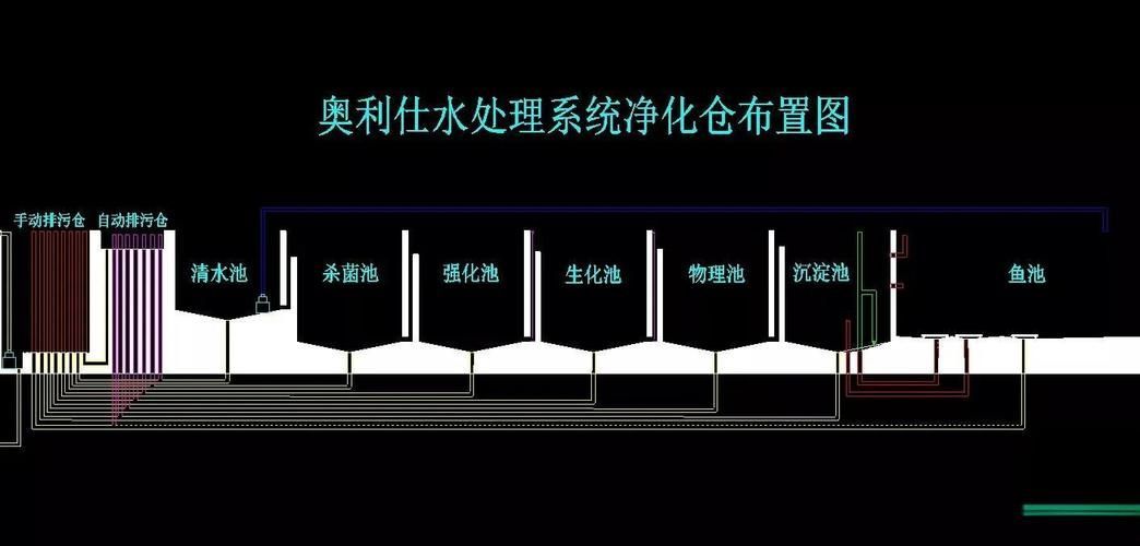 如何預防金龍魚腹水病的復發，如何預防金龍魚腹水病復發