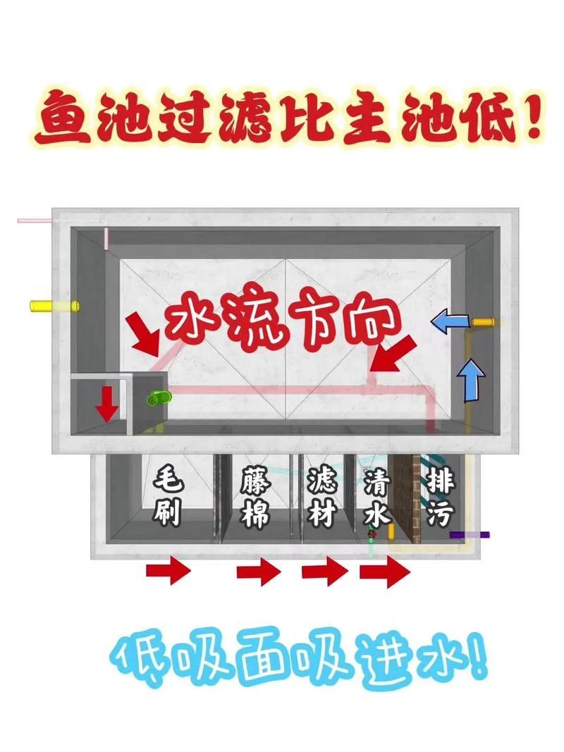 如何預防金龍魚腹水病的復發，如何預防金龍魚腹水病復發