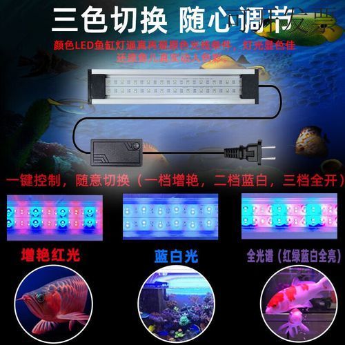 如何設置紅龍燈的定時器，如何設置紅龍燈定時器