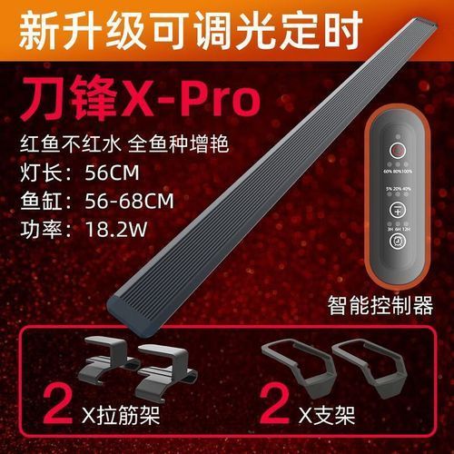 如何設置紅龍燈的定時器，如何設置紅龍燈定時器