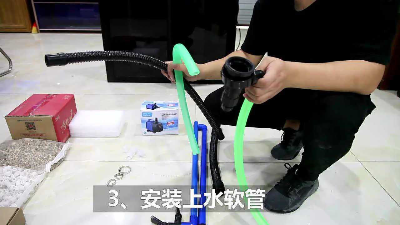 如何判斷龍魚缸的安全性？，如何判斷龍魚缸安全性 如何判斷龍魚缸的安全性？，如何判斷龍魚缸安全性 龍魚百科 第4張
