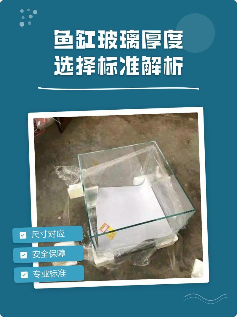 如何判斷龍魚缸的安全性？，如何判斷龍魚缸安全性 如何判斷龍魚缸的安全性？，如何判斷龍魚缸安全性 龍魚百科 第1張