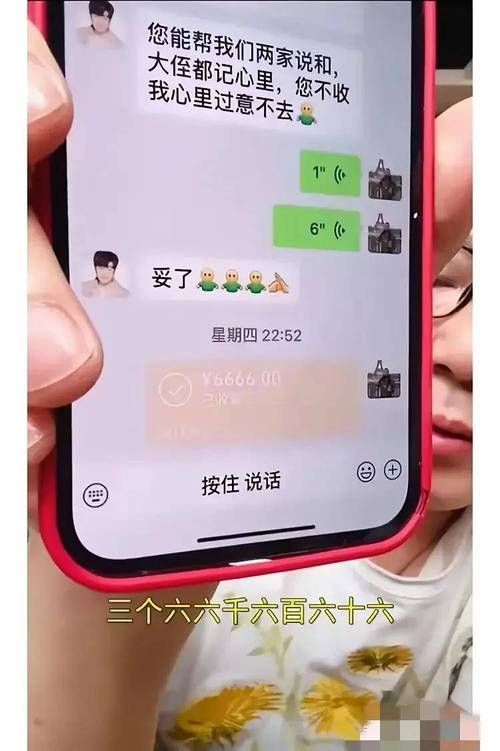 這些軟件中哪個最受歡迎，中國軟件市場發展趨勢 這些軟件中哪個最受歡迎，中國軟件市場發展趨勢 龍魚百科 第2張