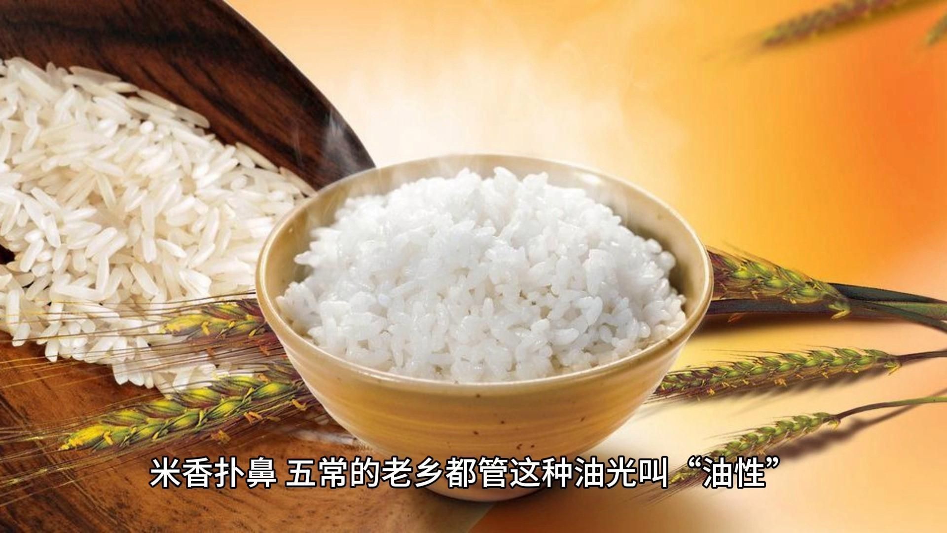 哪個品牌的大米最香？，哪個品牌的大米最香