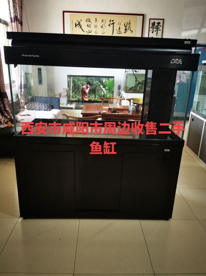 彩鰈和久鼎哪個更值得購買？，彩鰈與久鼎的區別