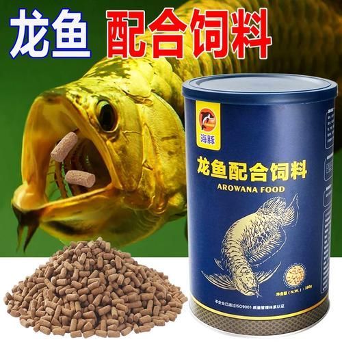 海豚龍魚飼料有哪些型號推薦？，海豚龍魚飼料型號