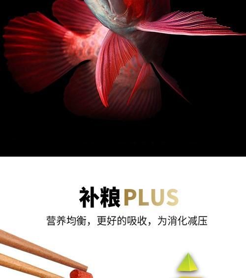 海豚龍魚飼料有哪些型號推薦？，海豚龍魚飼料型號