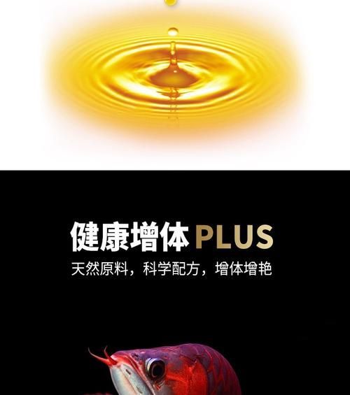 海豚龍魚飼料有哪些型號推薦？，海豚龍魚飼料型號