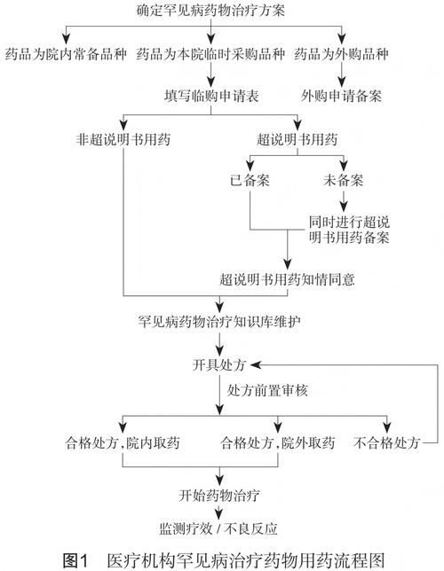 能否提供藥物治療的詳細流程圖，慢性病藥物治療的詳細流程圖