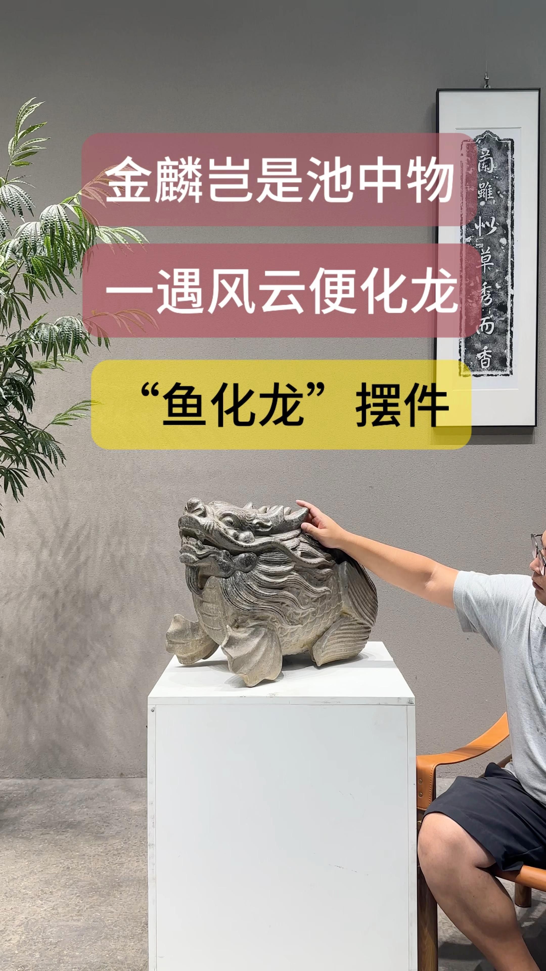 魚化龍有哪些風水禁忌，關于魚化龍的風水禁忌