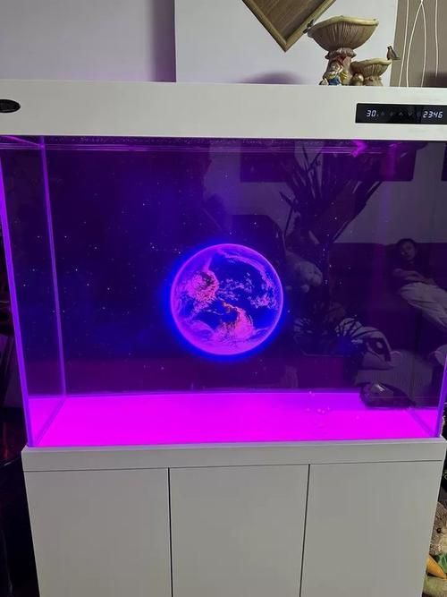 哪種材質的龍魚缸最耐用？，超白玻璃是目前制作龍魚缸最耐用且綜合性能最優的材質 哪種材質的龍魚缸最耐用？，超白玻璃是目前制作龍魚缸最耐用且綜合性能最優的材質 龍魚百科 第1張