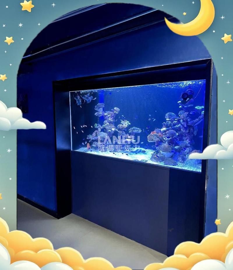 大型魚缸定做價格一般是多少？ 大型魚缸定做價格一般是多少？ 龍魚百科 第2張