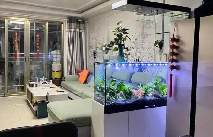 5條龍魚的最佳擺放位置，5條龍魚的擺放位置