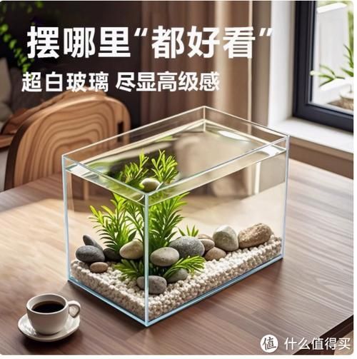 如何判斷魚缸的性價比？ 如何判斷魚缸的性價比？ 龍魚百科 第6張