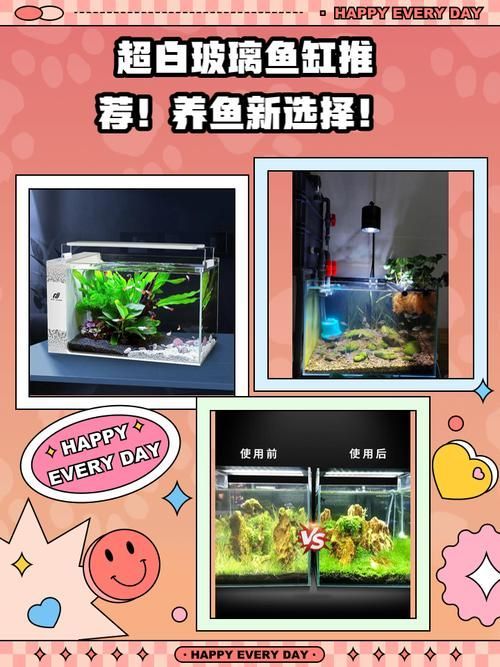 如何判斷魚缸的性價比？ 如何判斷魚缸的性價比？ 龍魚百科 第3張