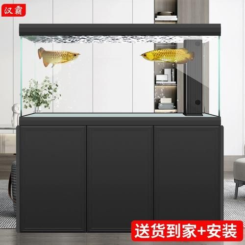 漢霸龍魚缸有哪些型號推薦？，漢霸龍魚缸哪個牌子好
