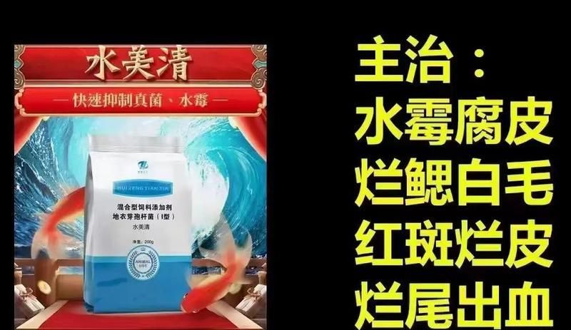 如何預防水霉病的發生