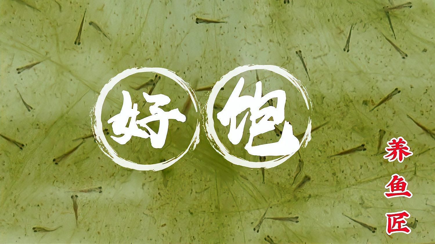 如何判斷小魚是否吃飽了，小魚是否吃飽了是養魚愛好者經常遇到的問題 如何判斷小魚是否吃飽了，小魚是否吃飽了是養魚愛好者經常遇到的問題 龍魚百科