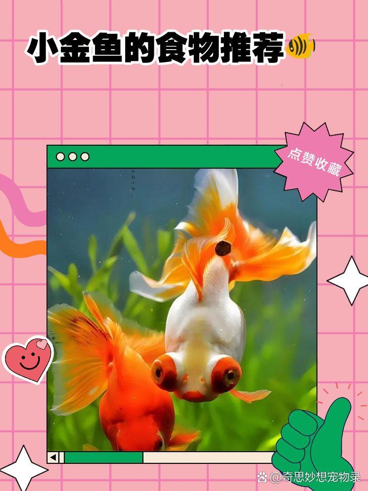 如何改善金魚食欲