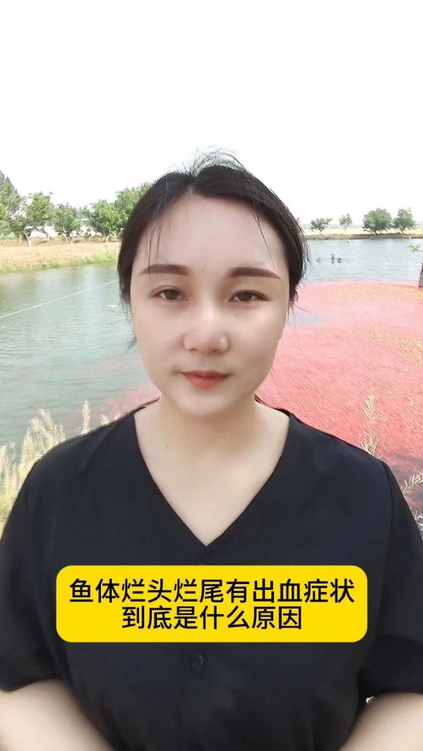 如何判斷魚體潰爛的病因，魚體潰爛病因自查清單，幫你快速定位問題