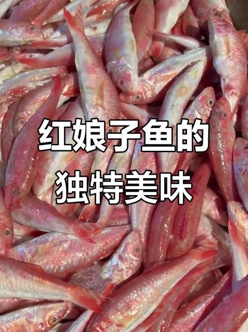 紅頭利魚，“紅頭利魚（如紅頭利魚（如紅頭利魚”的標準物種詳解