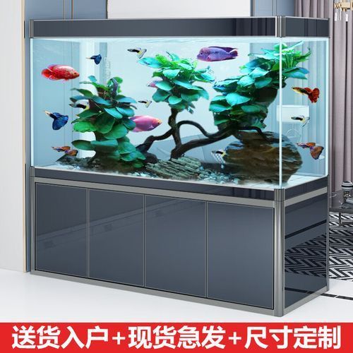 有哪些性價比高的龍魚缸型號推薦？，市場上評價較高的龍魚缸型號 有哪些性價比高的龍魚缸型號推薦？，市場上評價較高的龍魚缸型號 龍魚百科 第5張