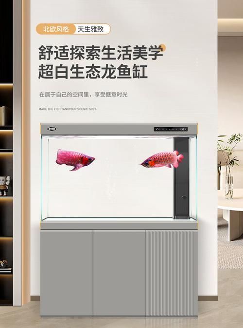 有哪些性價比高的龍魚缸型號推薦？，市場上評價較高的龍魚缸型號 有哪些性價比高的龍魚缸型號推薦？，市場上評價較高的龍魚缸型號 龍魚百科 第18張