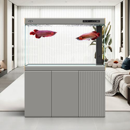 有哪些性價比高的龍魚缸型號推薦？，市場上評價較高的龍魚缸型號 有哪些性價比高的龍魚缸型號推薦？，市場上評價較高的龍魚缸型號 龍魚百科 第16張