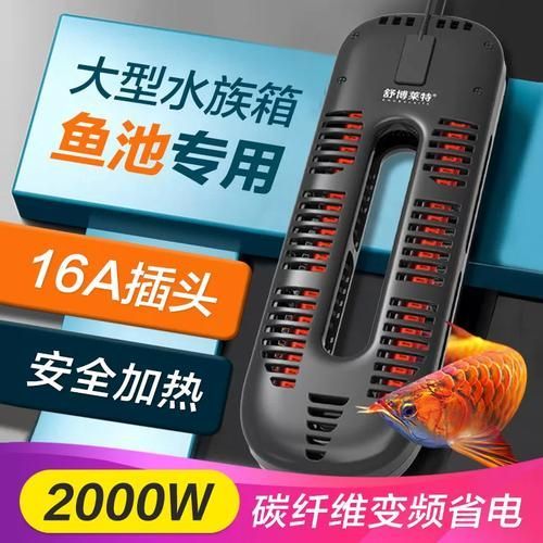 如何維持大湖紅龍水溫穩定，大湖紅龍水溫穩定對水溫穩定對于養殖成功至關重要措施 如何維持大湖紅龍水溫穩定，大湖紅龍水溫穩定對水溫穩定對于養殖成功至關重要措施 龍魚百科 第4張
