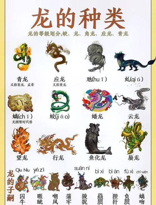 能否提供更多關于龍的寓意和象征的圖片，億元級紅龍魚的市場行情