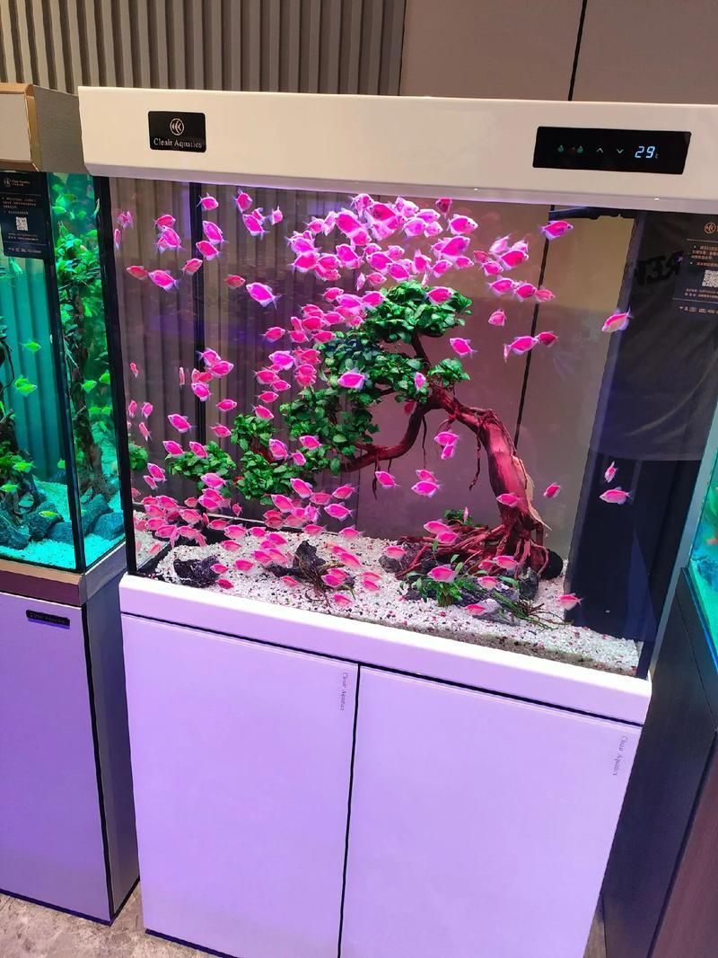 可麗愛和閩江哪個更值得購買？，可麗愛vs可麗愛vs“閩江”兩個品牌的使用評價與對比心得