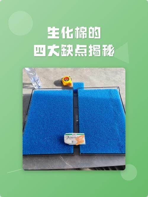 給我推薦幾款性價比高的濾材，性價比高的魚缸濾材 給我推薦幾款性價比高的濾材，性價比高的魚缸濾材 龍魚百科 第6張
