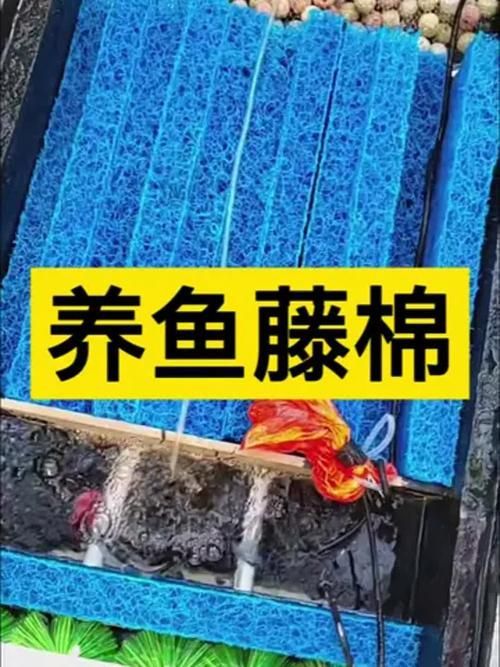 給我推薦幾款性價比高的濾材，性價比高的魚缸濾材 給我推薦幾款性價比高的濾材，性價比高的魚缸濾材 龍魚百科 第12張