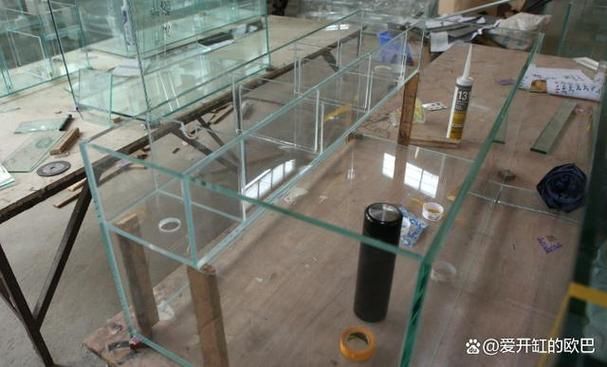 彩鰈和久鼎哪個更耐用？，彩鰈與久鼎的區別 彩鰈和久鼎哪個更耐用？，彩鰈與久鼎的區別 龍魚百科 第2張