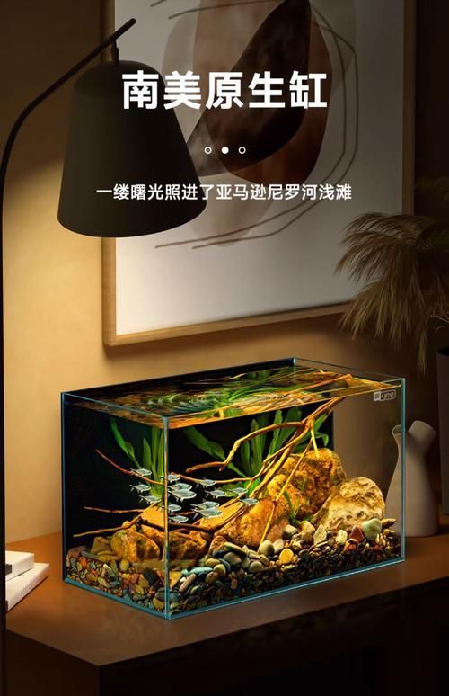 還有哪些魚缸品牌值得推薦,哪些品牌的魚缸值得推薦? 龍魚百科 第13張 還有哪些魚缸品牌值得推薦,哪些品牌的魚缸值得推薦? 還有哪些魚缸品牌值得推薦,哪些品牌的魚缸值得推薦? 龍魚百科 第13張