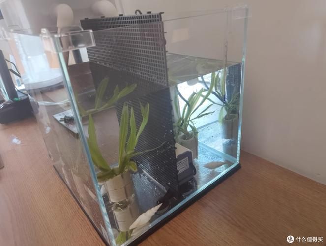 還有哪些魚缸品牌值得推薦,哪些品牌的魚缸值得推薦? 龍魚百科 第20張 還有哪些魚缸品牌值得推薦,哪些品牌的魚缸值得推薦? 還有哪些魚缸品牌值得推薦,哪些品牌的魚缸值得推薦? 龍魚百科 第20張
