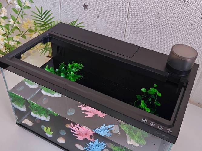 還有哪些魚缸品牌值得推薦,哪些品牌的魚缸值得推薦? 龍魚百科 第11張 還有哪些魚缸品牌值得推薦,哪些品牌的魚缸值得推薦? 還有哪些魚缸品牌值得推薦,哪些品牌的魚缸值得推薦? 龍魚百科 第11張