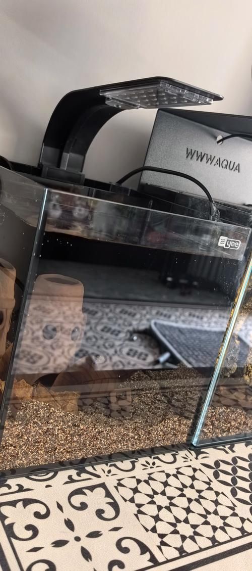 還有哪些魚缸品牌值得推薦,哪些品牌的魚缸值得推薦? 龍魚百科 第16張 還有哪些魚缸品牌值得推薦,哪些品牌的魚缸值得推薦? 還有哪些魚缸品牌值得推薦,哪些品牌的魚缸值得推薦? 龍魚百科 第16張