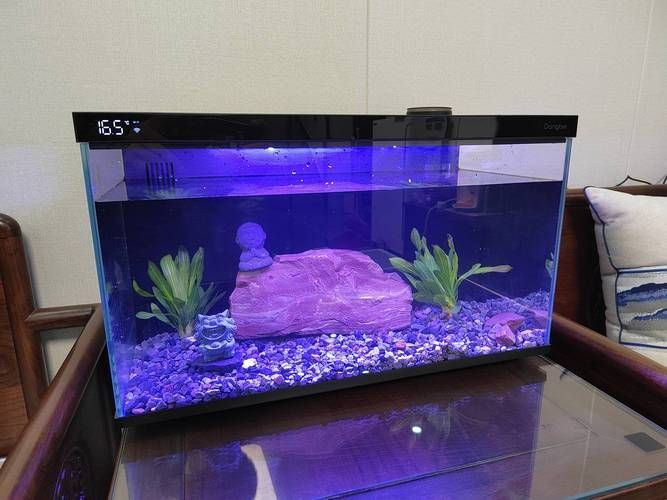 還有哪些魚缸品牌值得推薦,哪些品牌的魚缸值得推薦? 龍魚百科 第9張 還有哪些魚缸品牌值得推薦,哪些品牌的魚缸值得推薦? 還有哪些魚缸品牌值得推薦,哪些品牌的魚缸值得推薦? 龍魚百科 第9張