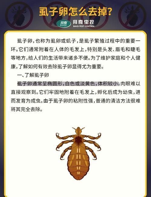 能否提供魚虱繁殖過程的詳細步驟圖,關于魚虱繁殖過程的詳細步驟圖描述:魚虱的繁殖過程 龍魚百科 第3張 能否提供魚虱繁殖過程的詳細步驟圖,關于魚虱繁殖過程的詳細步驟圖描述:魚虱的繁殖過程 能否提供魚虱繁殖過程的詳細步驟圖,關于魚虱繁殖過程的詳細步驟圖描述:魚虱的繁殖過程 龍魚百科 第3張