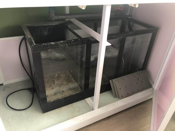 二手彩鰈魚缸的價格范圍是多少？，二手彩鰈魚缸價格一般多少錢？