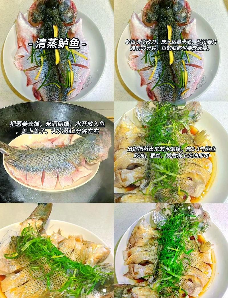 推薦一些預防魚寄生蟲感染的食譜，預防魚寄生蟲感染的科學食譜指南